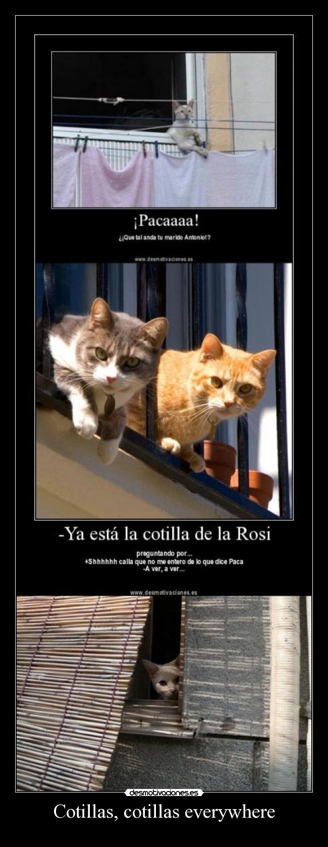 Cotillas, cotillas everywhere -