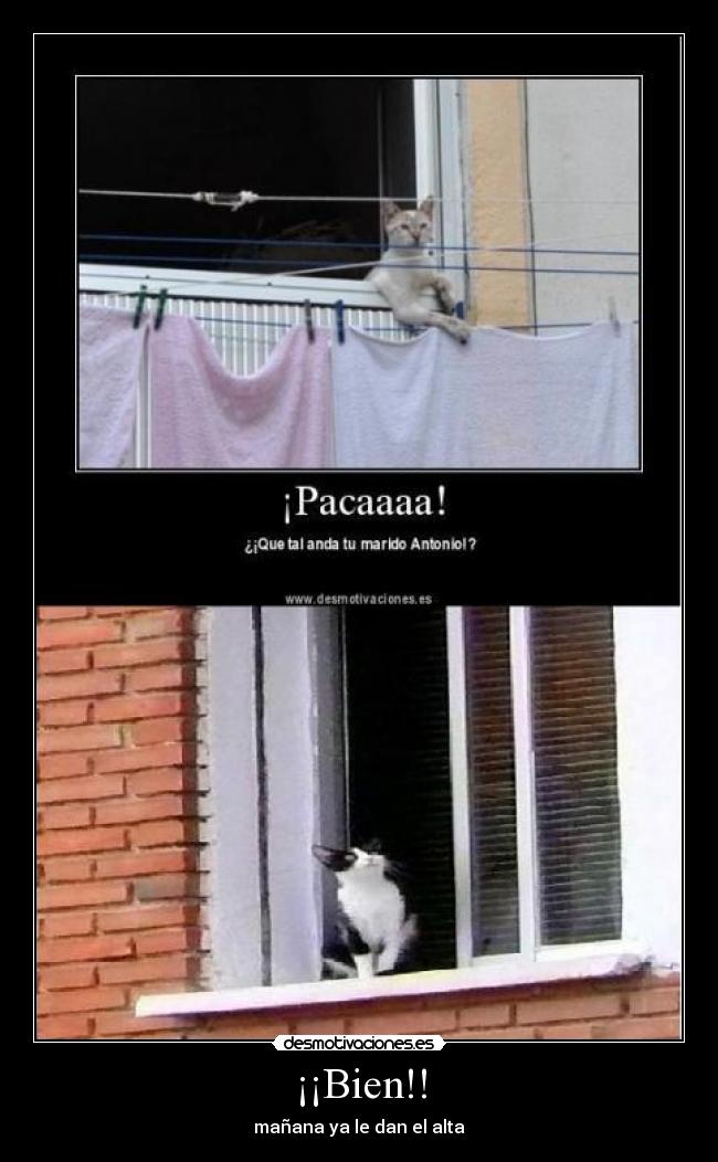 ¡¡Bien!! -