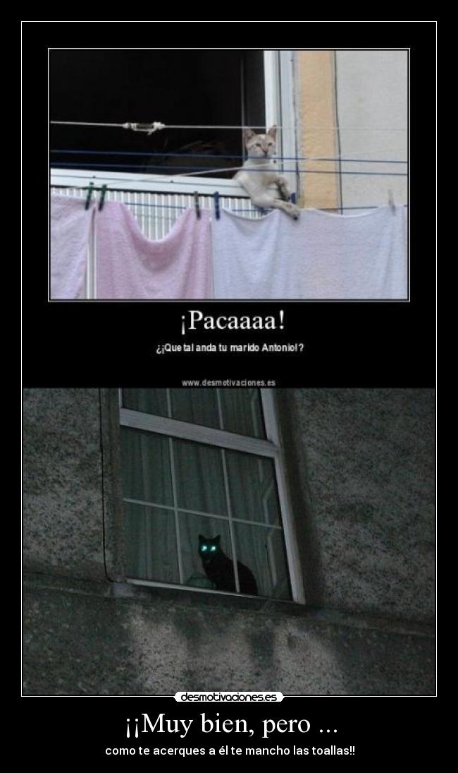 ¡¡Muy bien, pero ... - como te acerques a él te mancho las toallas!!