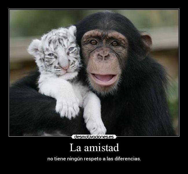 La amistad - 
