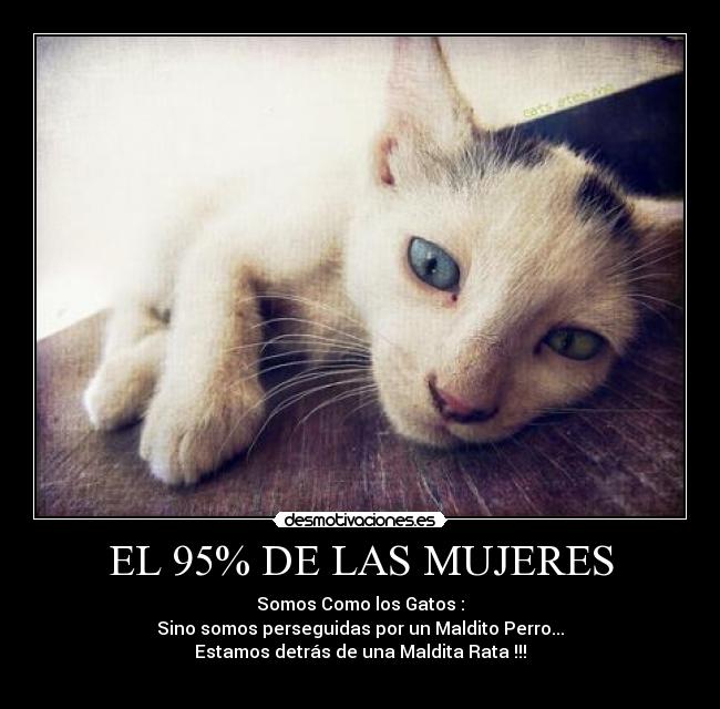 EL 95% DE LAS MUJERES - 