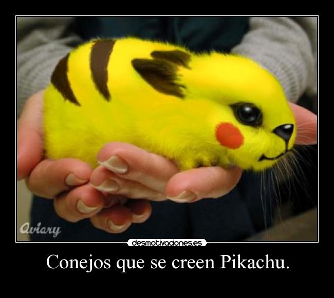 carteles pikachu desmotivaciones