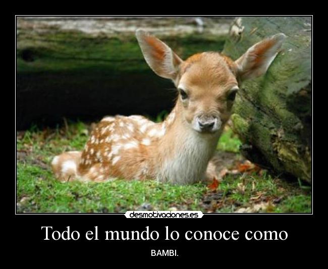 Todo el mundo lo conoce como - BAMBI.