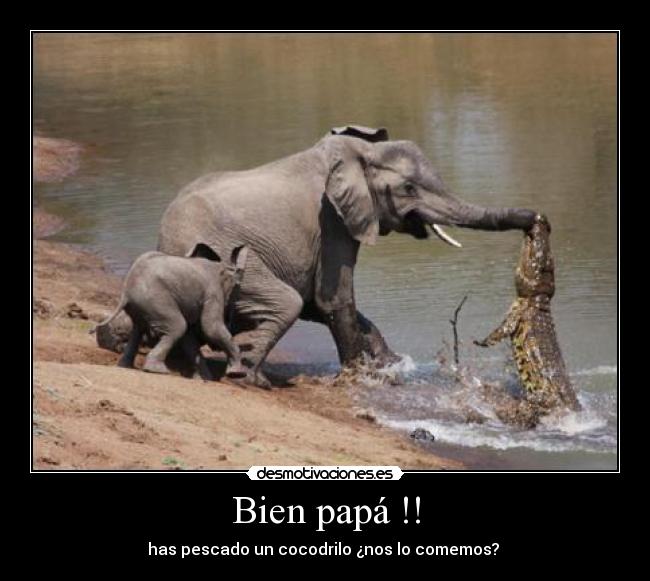 Bien papá !! -