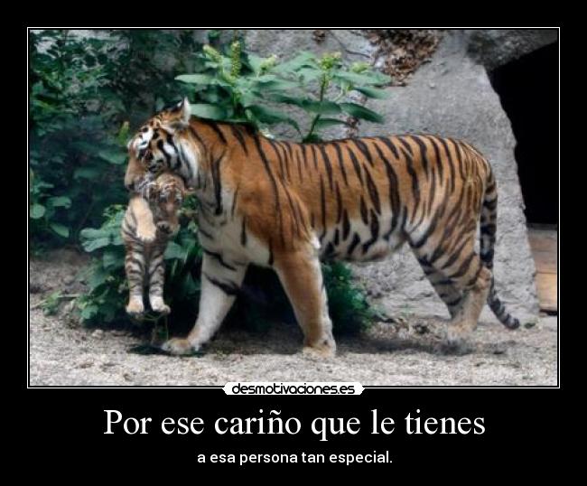 Por ese cariño que le tienes - a esa persona tan especial.