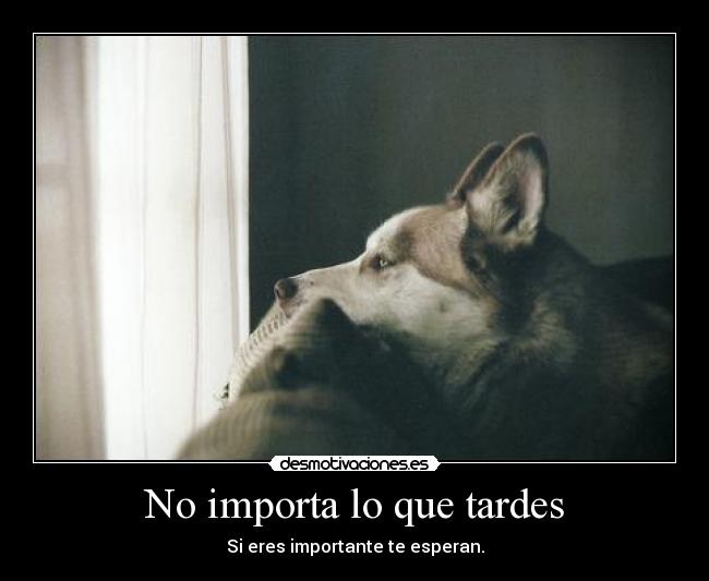 No importa lo que tardes - 