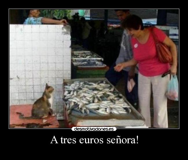 A tres euros señora! -