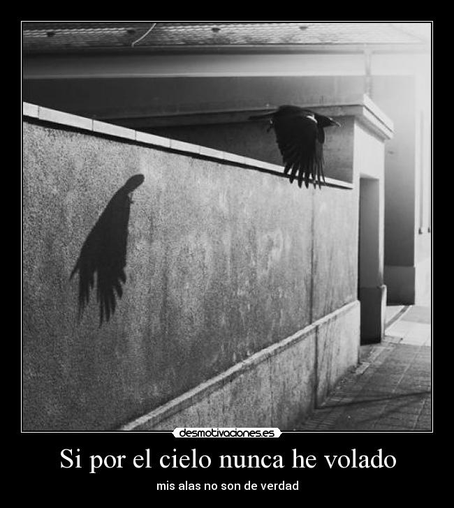 Si por el cielo nunca he volado - mis alas no son de verdad