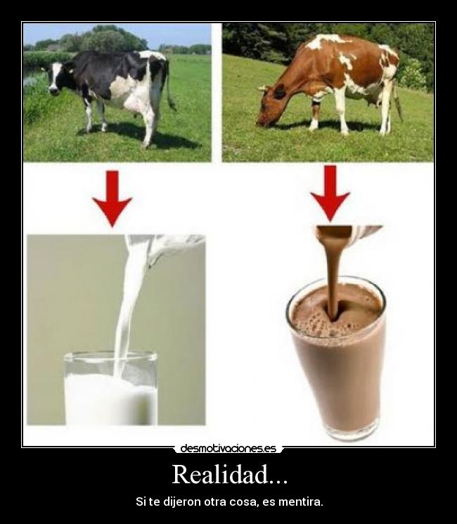 Realidad... - 