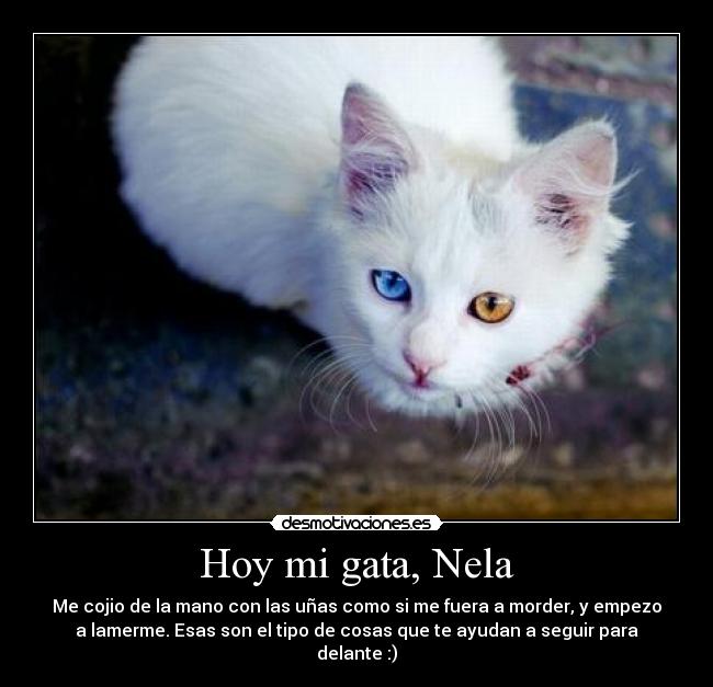 Hoy mi gata, Nela - 