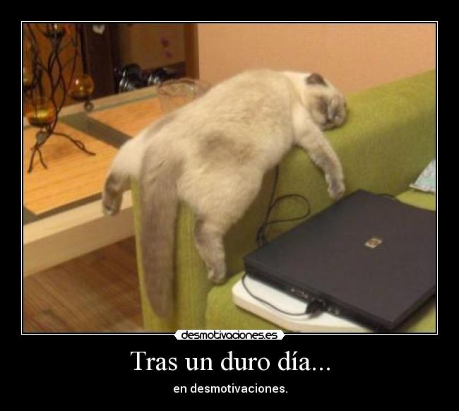 Tras un duro día... -