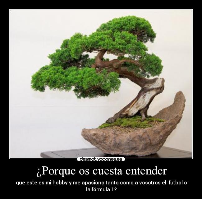 ¿Porque os cuesta entender - 