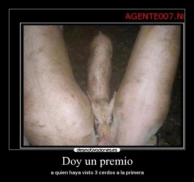 Doy un premio -