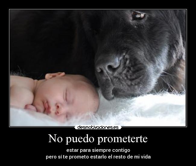 No puedo prometerte - 