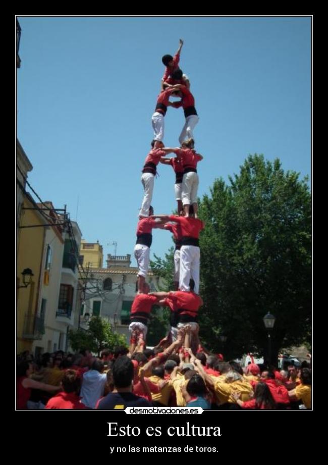 Esto es cultura -