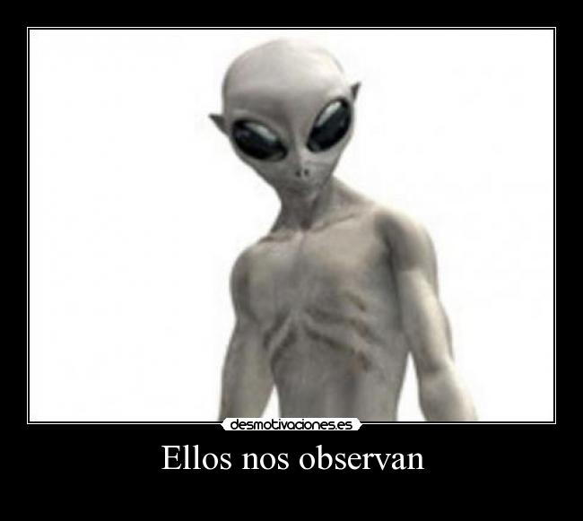 Ellos nos observan -