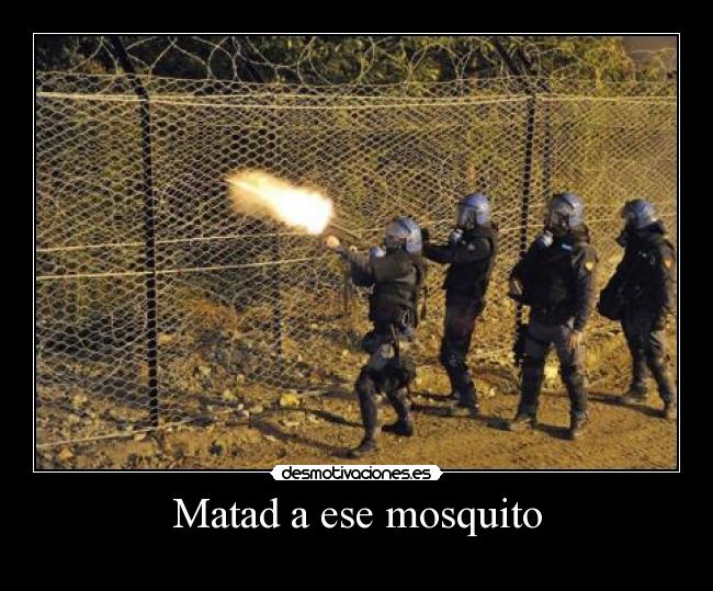 Matad a ese mosquito -