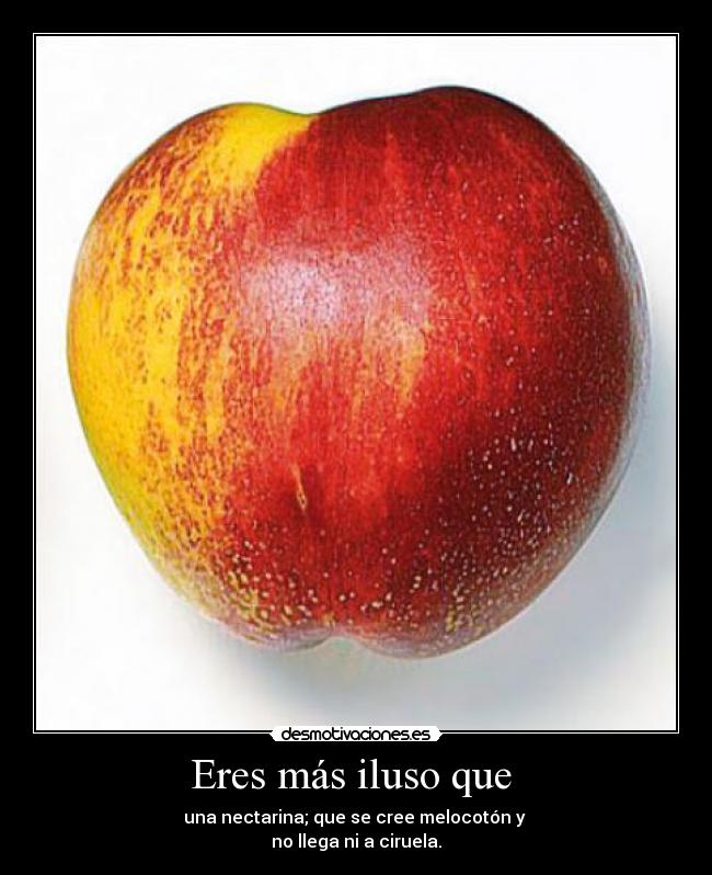 Eres más iluso que  - una nectarina; que se cree melocotón y 
no llega ni a ciruela.