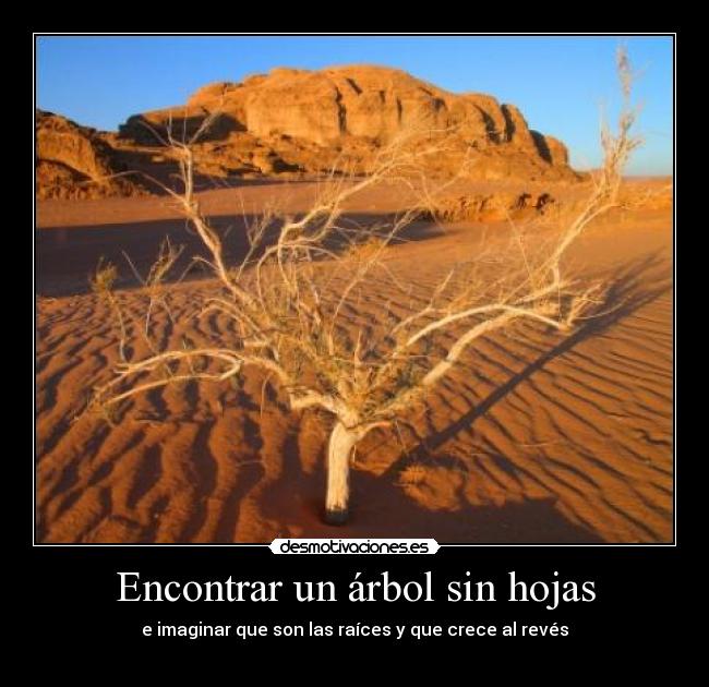 Encontrar un árbol sin hojas - e imaginar que son las raíces y que crece al revés
