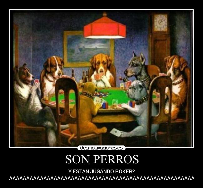 SON PERROS -