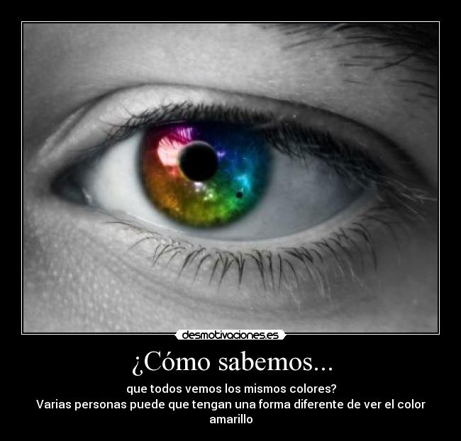 ¿Cómo sabemos... -