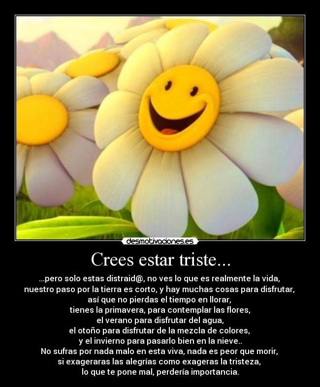 Crees estar triste... - ...pero solo estas distraid@, no ves lo que es realmente la vida,
nuestro paso por la tierra es corto, y hay muchas cosas para disfrutar,
así que no pierdas el tiempo en llorar,
tienes la primavera, para contemplar las flores,
el verano para disfrutar del agua,
el otoño para disfrutar de la mezcla de colores,
y el invierno para pasarlo bien en la nieve..
No sufras por nada malo en esta viva, nada es peor que morir,
si exageraras las alegrías como exageras la tristeza,
lo que te pone mal, perdería importancia.