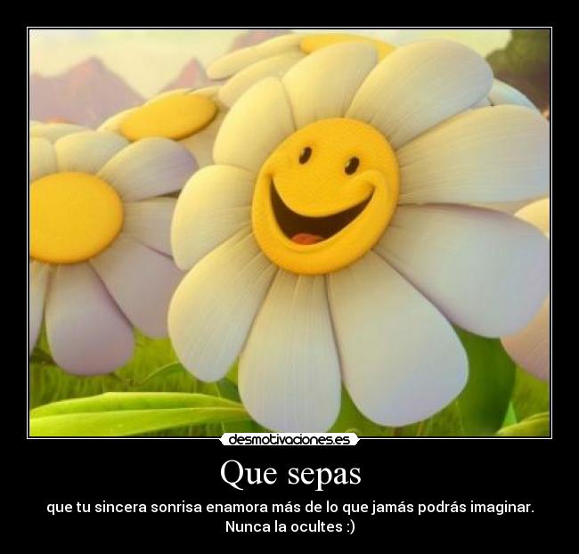 carteles sepas sincera sonrisa enamora nunca ocultes desmotivaciones