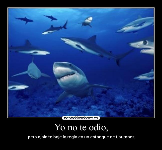 Yo no te odio, - pero ojala te baje la regla en un estanque de tiburones