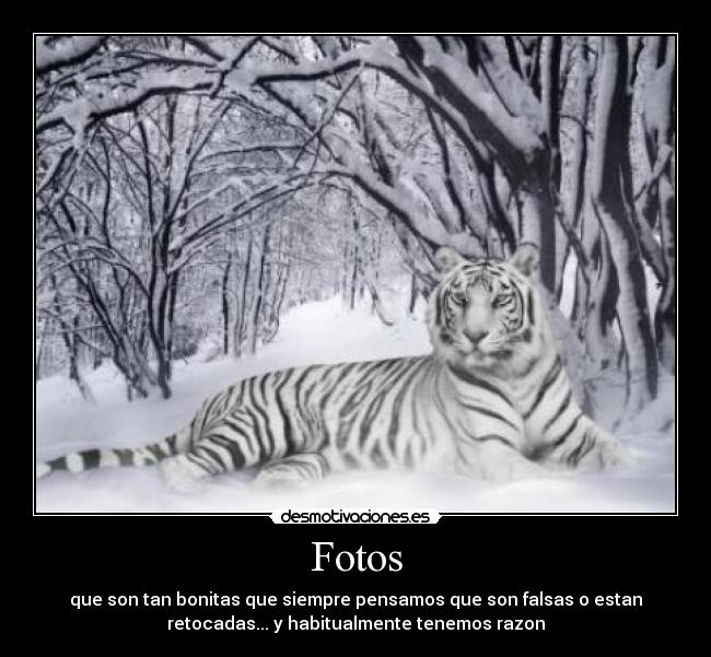 Fotos - que son tan bonitas que siempre pensamos que son falsas o estan
retocadas... y habitualmente tenemos razon