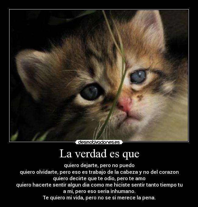 La verdad es que - quiero dejarte, pero no puedo
quiero olvidarte, pero eso es trabajo de la cabeza y no del corazon
quiero decirte que te odio, pero te amo
quiero hacerte sentir algun dia como me hiciste sentir tanto tiempo tu
a mi, pero eso seria inhumano.
Te quiero mi vida, pero no se si merece la pena.