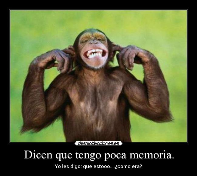 Dicen que tengo poca memoria. -
