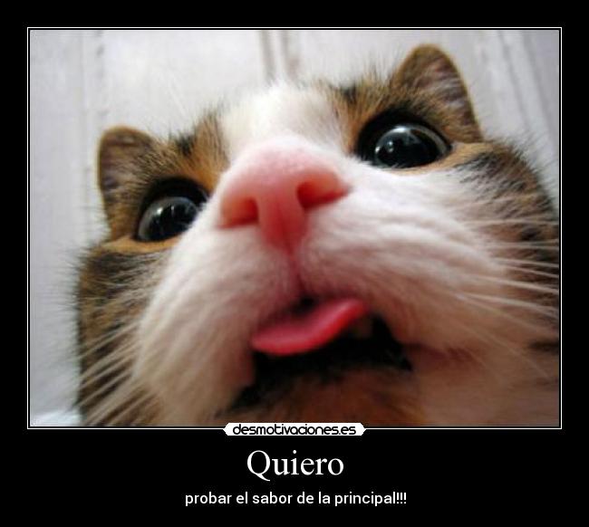 Quiero - probar el sabor de la principal!!!