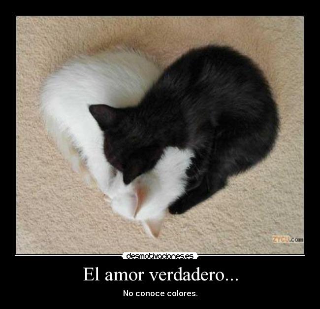 El amor verdadero... - 