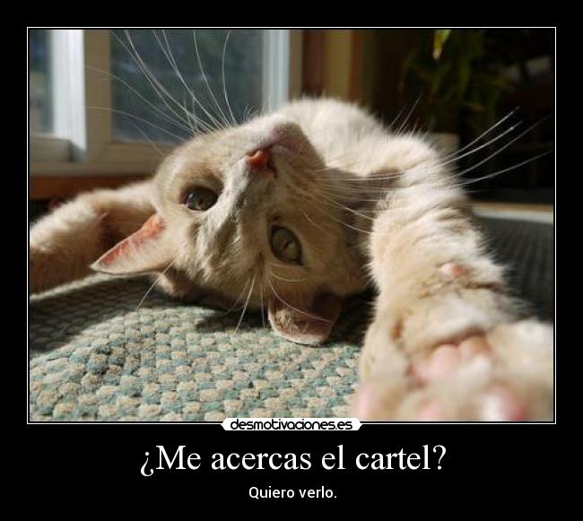 ¿Me acercas el cartel? - 