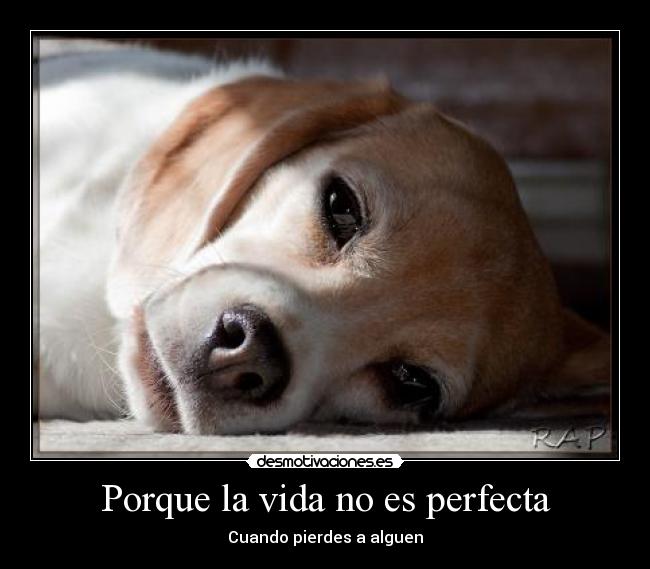 Porque la vida no es perfecta - Cuando pierdes a alguen