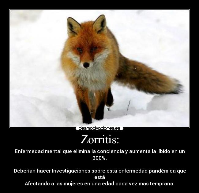 Zorritis: - 