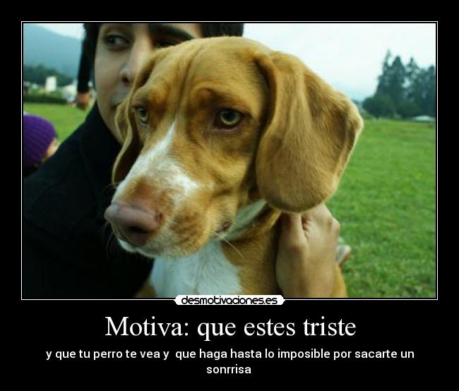 Motiva: que estes triste - y que tu perro te vea y que haga hasta lo imposible por sacarte un sonrrisa