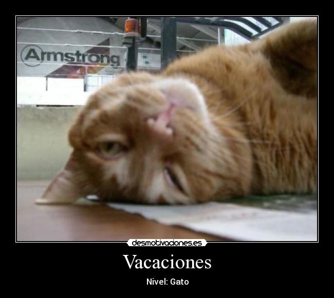 Vacaciones - Nivel: Gato