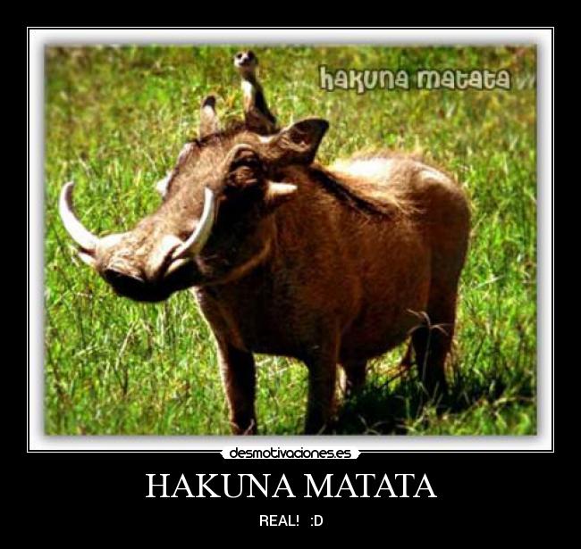 HAKUNA MATATA - REAL! :D
