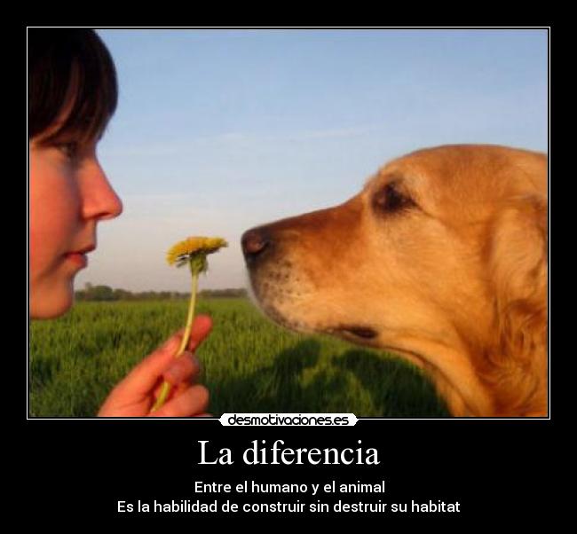 La diferencia - 