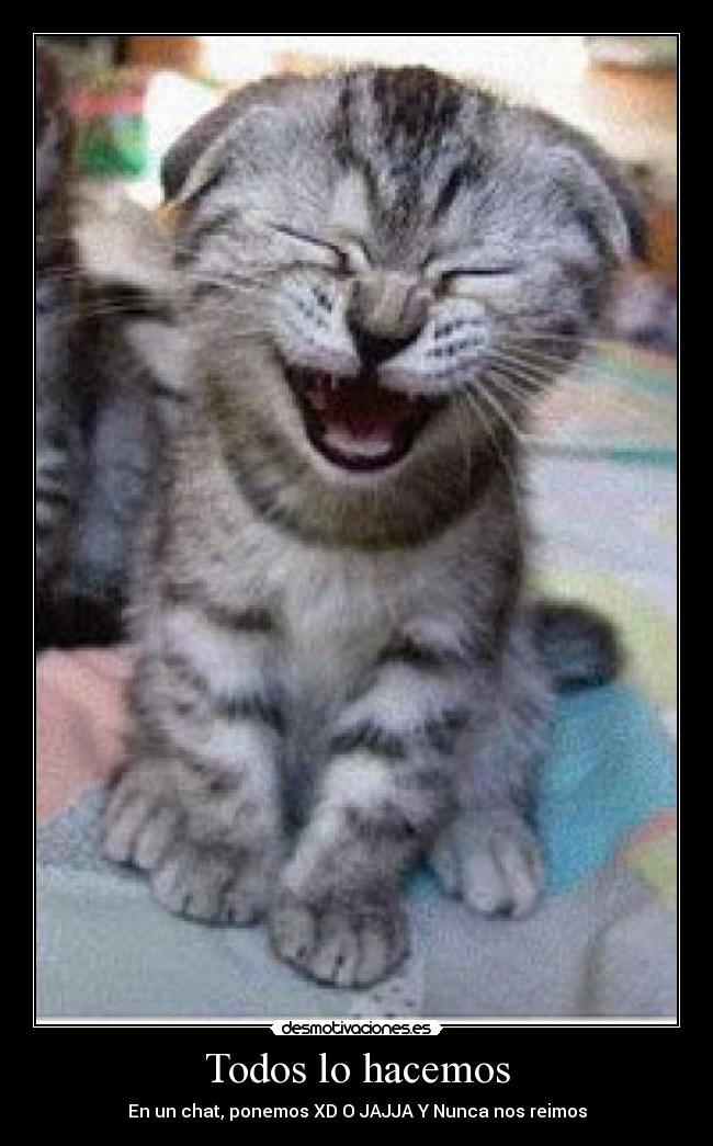 carteles risa gente desmotivaciones