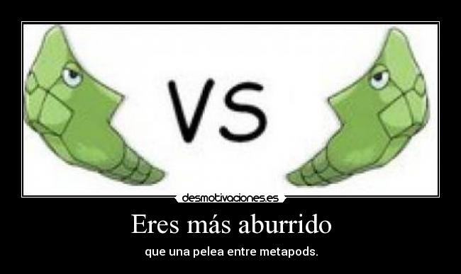 Eres más aburrido - que una pelea entre metapods.