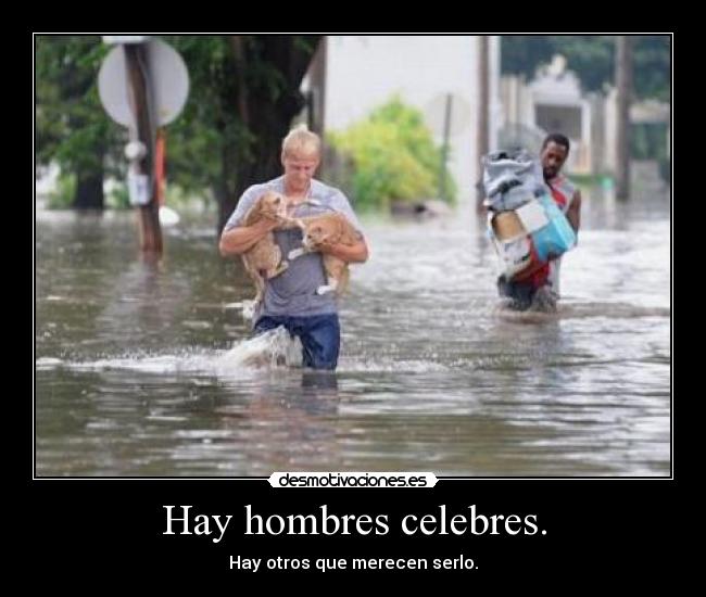 carteles dayana desmotivaciones