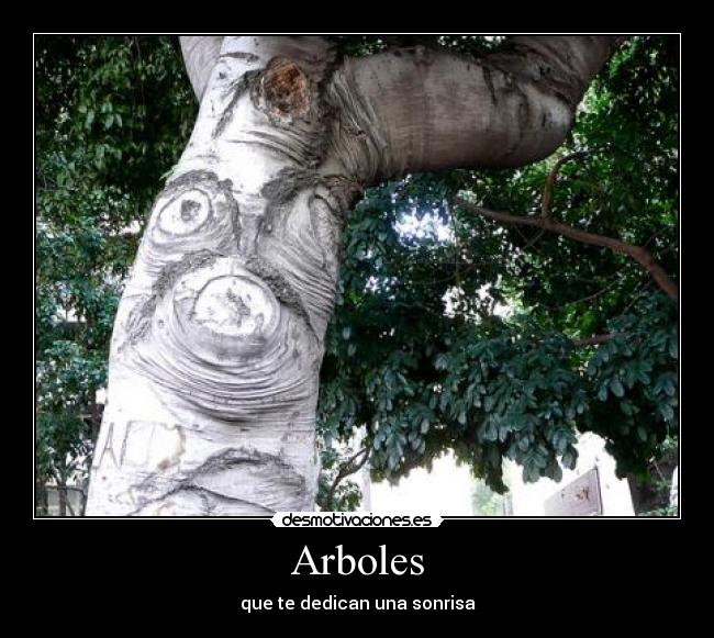Arboles -