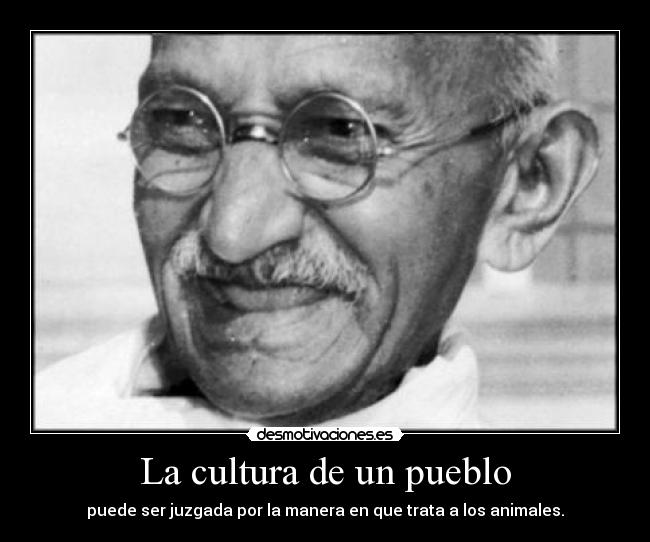 La cultura de un pueblo - puede ser juzgada por la manera en que trata a los animales.