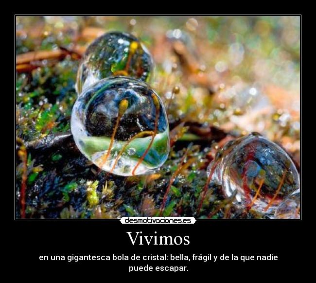 Vivimos - 