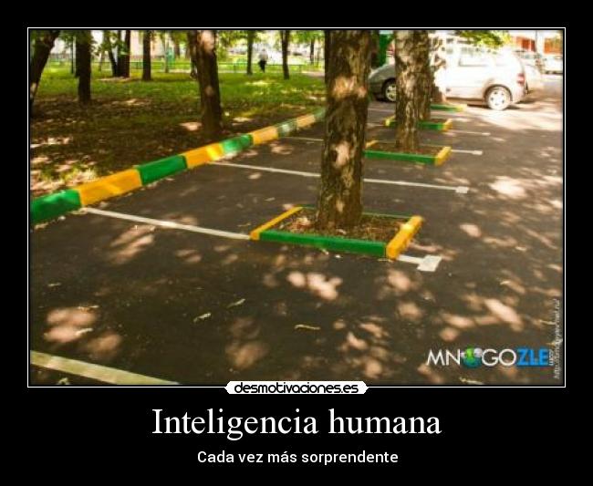 Inteligencia humana -