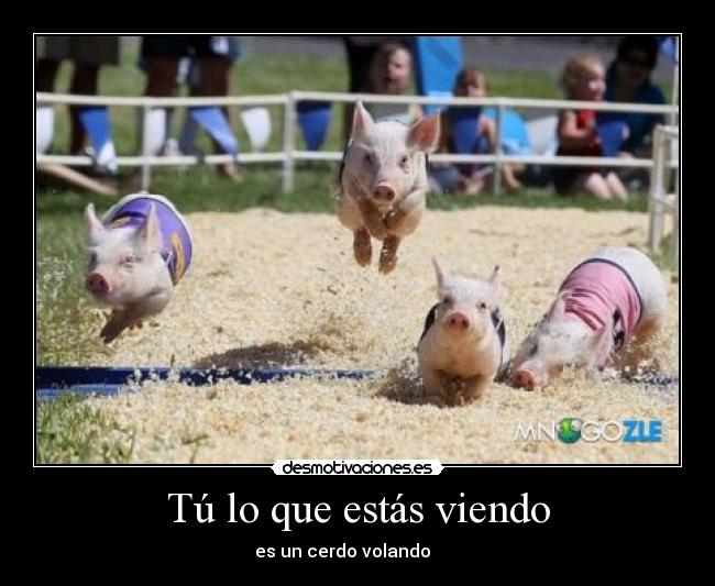 Tú lo que estás viendo -