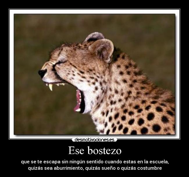 Ese bostezo - que se te escapa sin ningún sentido cuando estas en la escuela,
quizás sea aburrimiento, quizás sueño o quizás costumbre