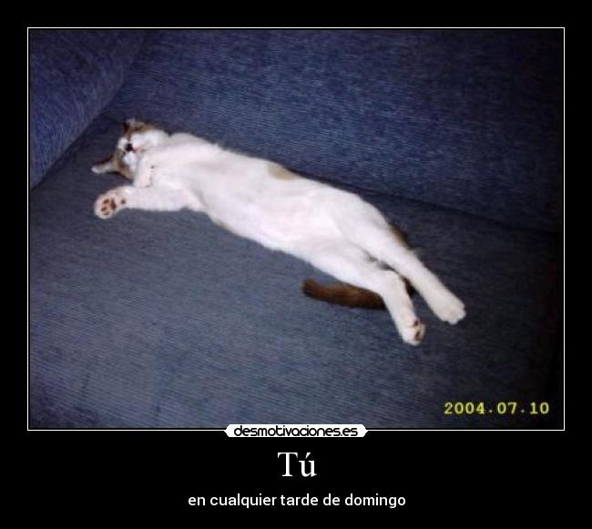 Tú - en cualquier tarde de domingo